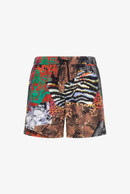 ${brand} Just Cavalli swim shorts ${colorDescription} ${masterID}