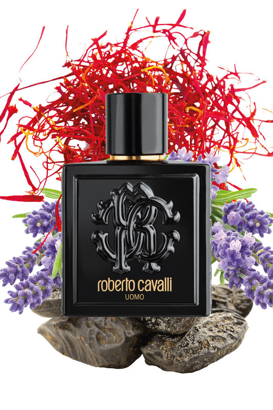 RC ROBERTO CAVALLI UOMO EAU DE TOILETTE 100 ML Nero SAW015-SA023