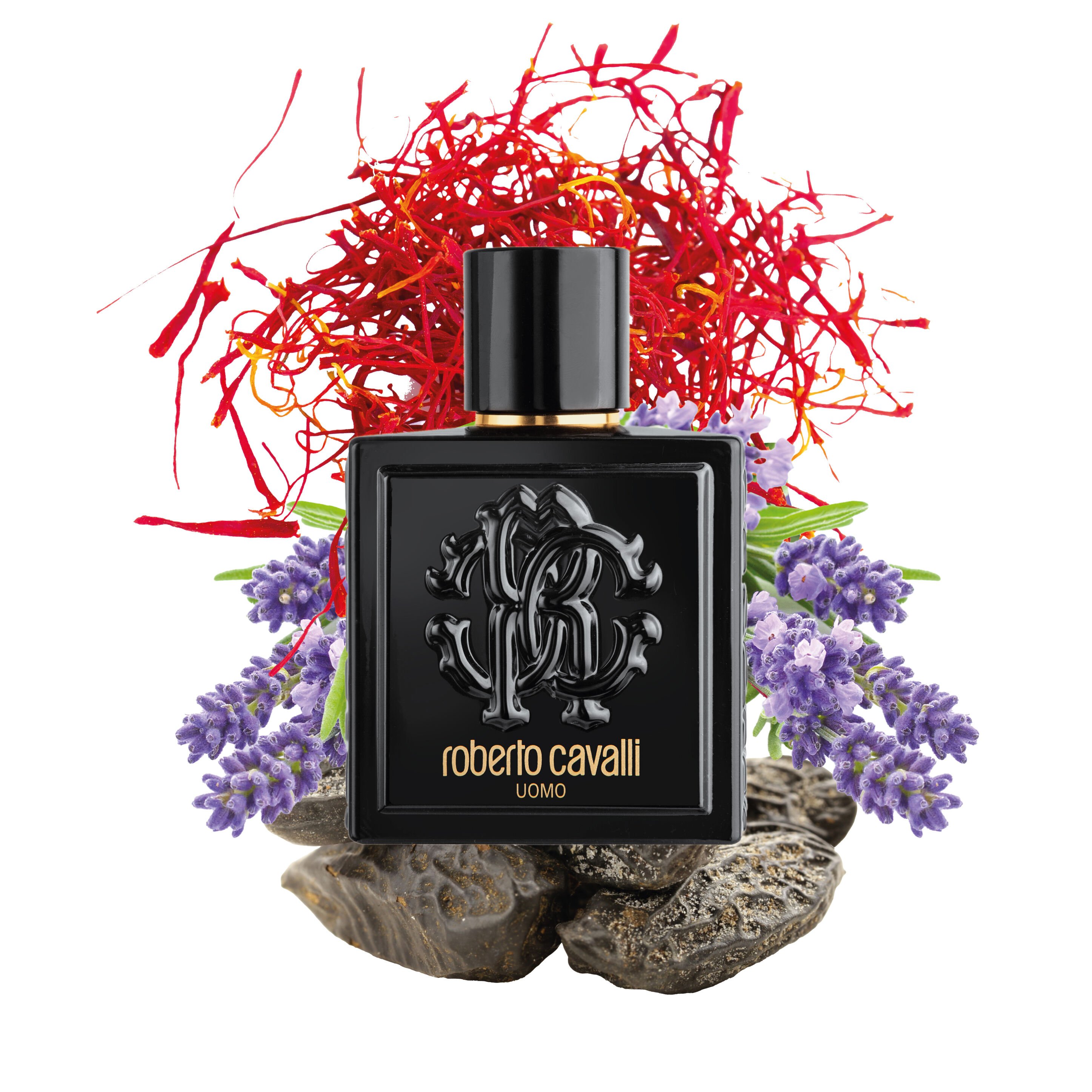 RC ROBERTO CAVALLI UOMO EAU DE TOILETTE 100 ML Nero SAW015-SA023