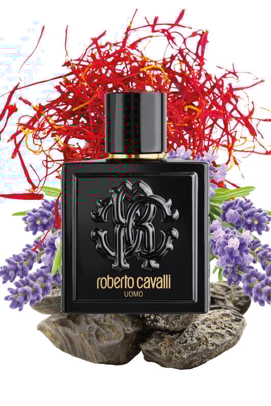 RC ROBERTO CAVALLI UOMO EAU DE TOILETTE 100 ML RC ROBERTO CAVALLI UOMO EAU DE TOILETTE 100 ML Nero SAW015-SA023