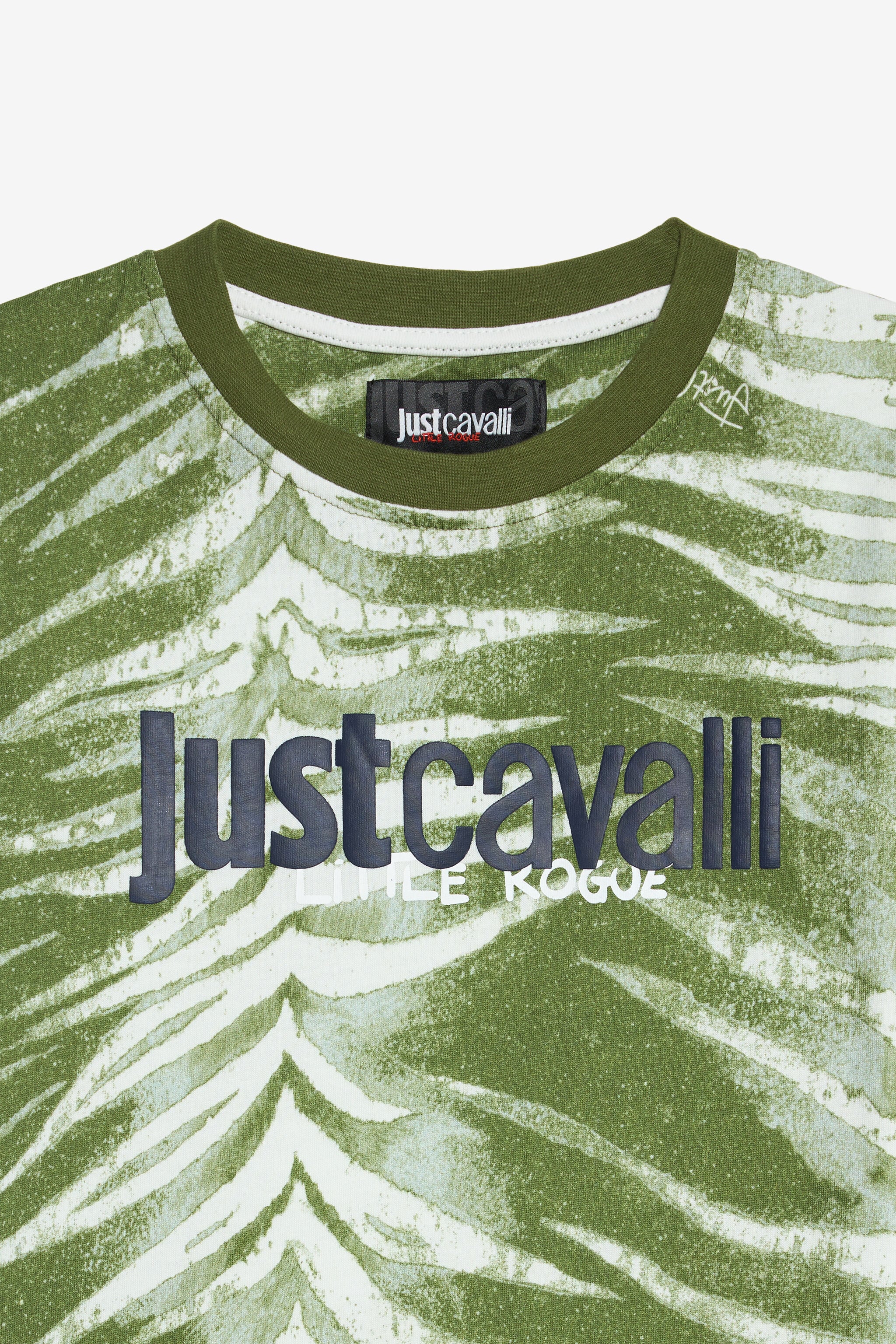 JC  ZEBRA GREEN WFT60X-JF005