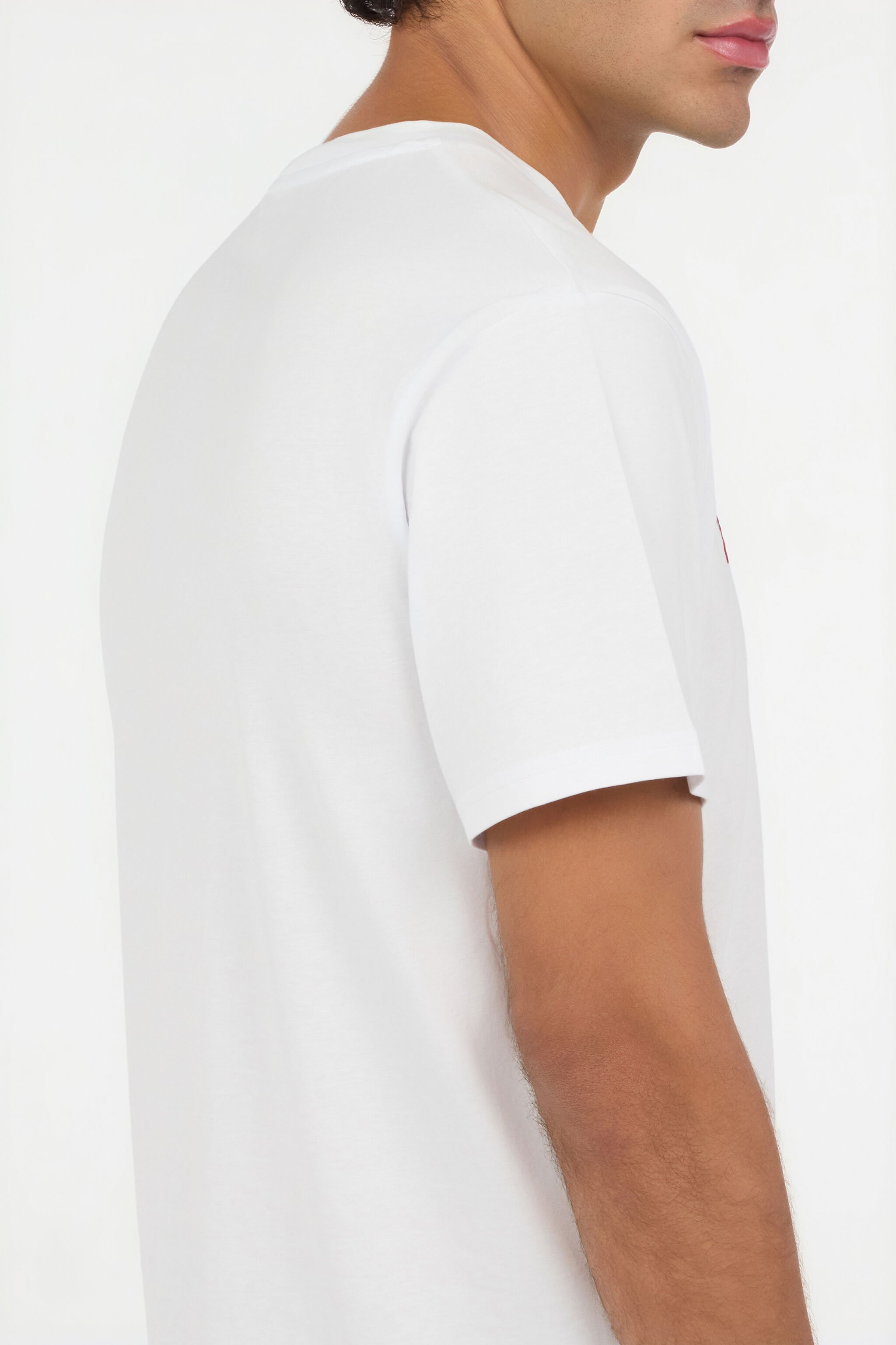RC White T-Shirt With Embroidered Snake Logo WHITE ROT60C-JD065