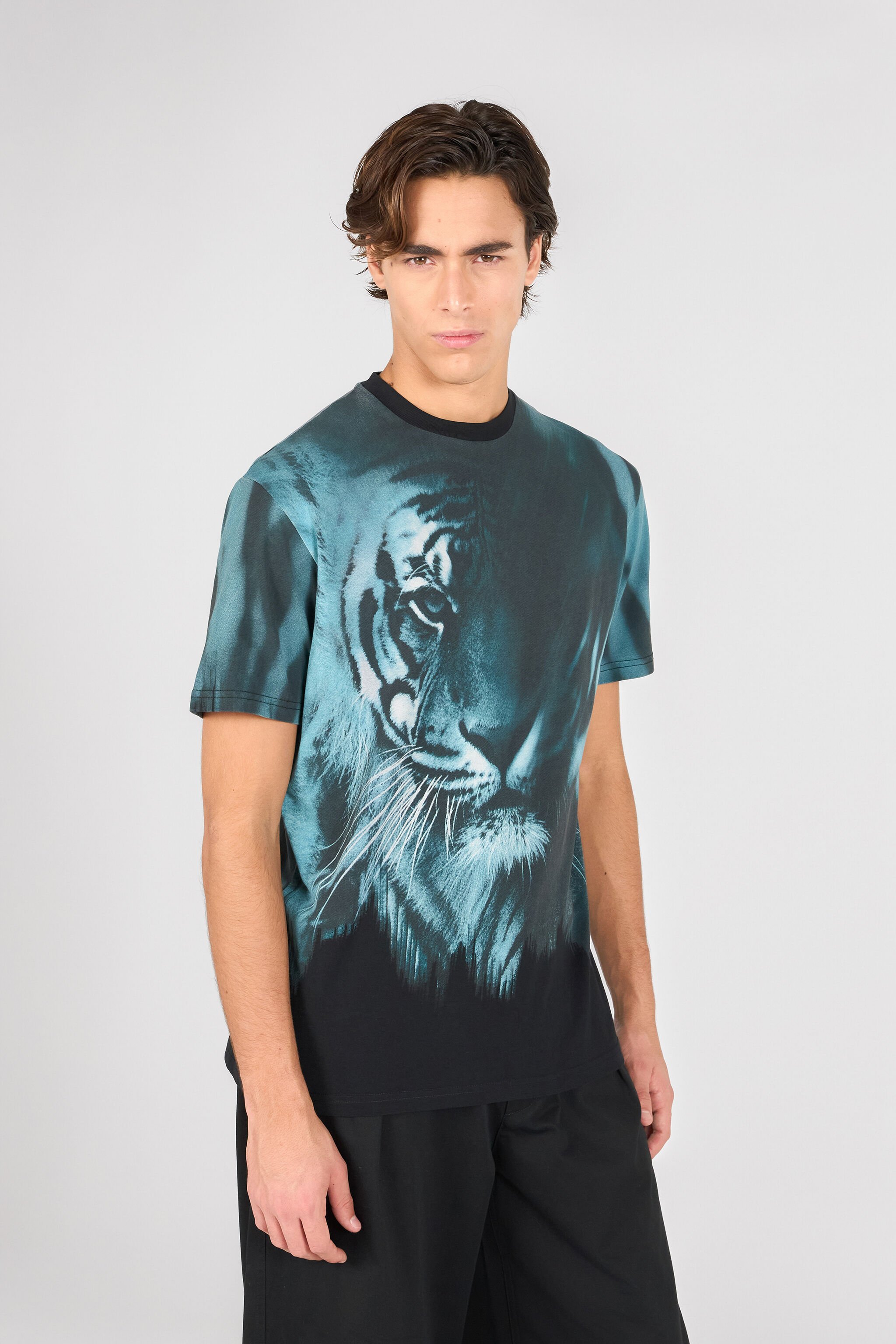 RC T-Shirt Mit Tigerprint BLACK/LIGHT BLUE OOT60H-JFO62