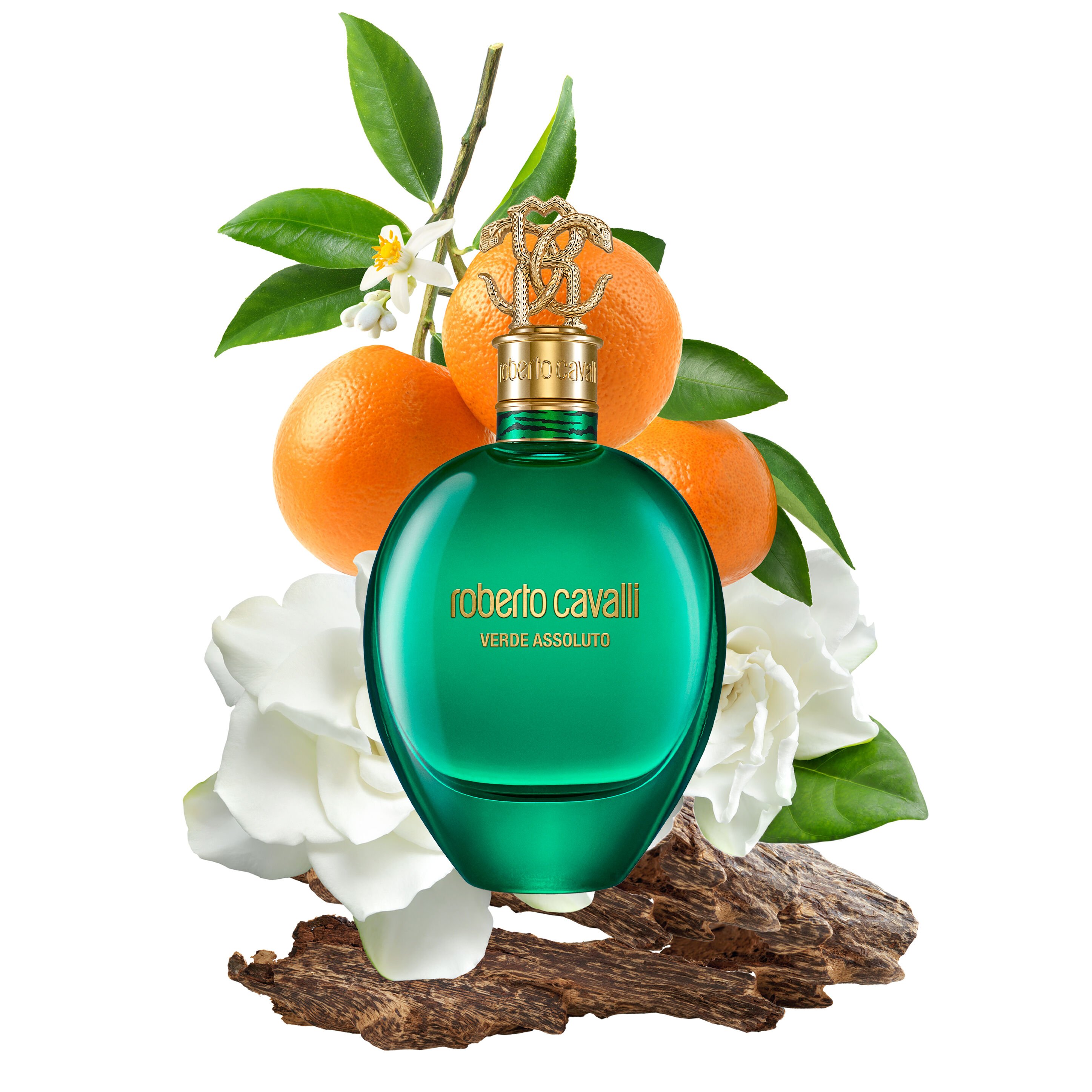 RC Verde Assoluto EDP 75ML GENERIC WALI03-II044