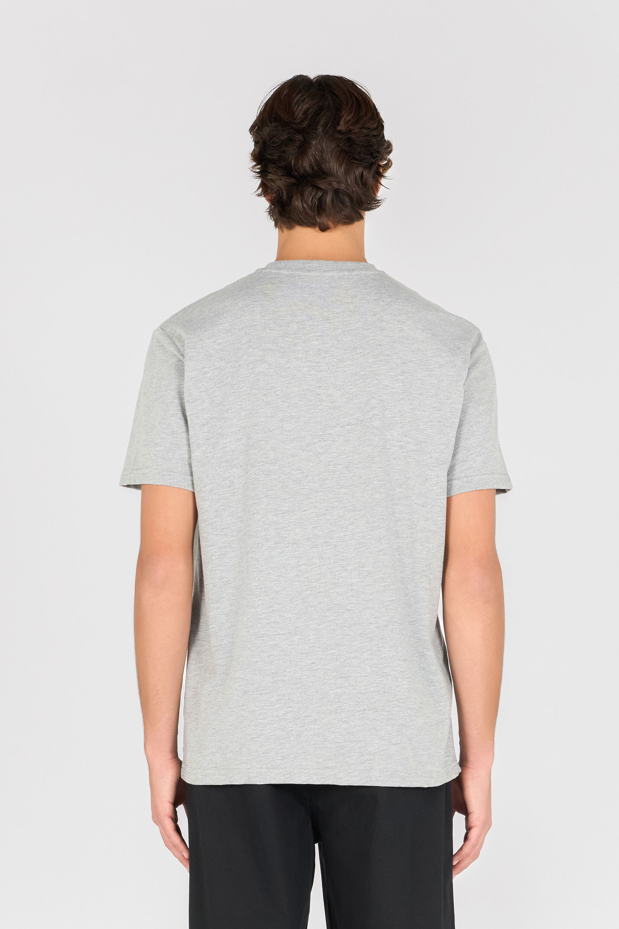RC T-Shirt Avec Imprimé Animalier Et Logo Gris OOT60G-JD060