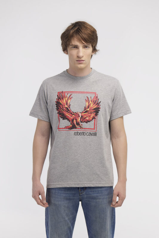 RC T-shirt with Eagle logo and print Gray NOT60E-JD016
