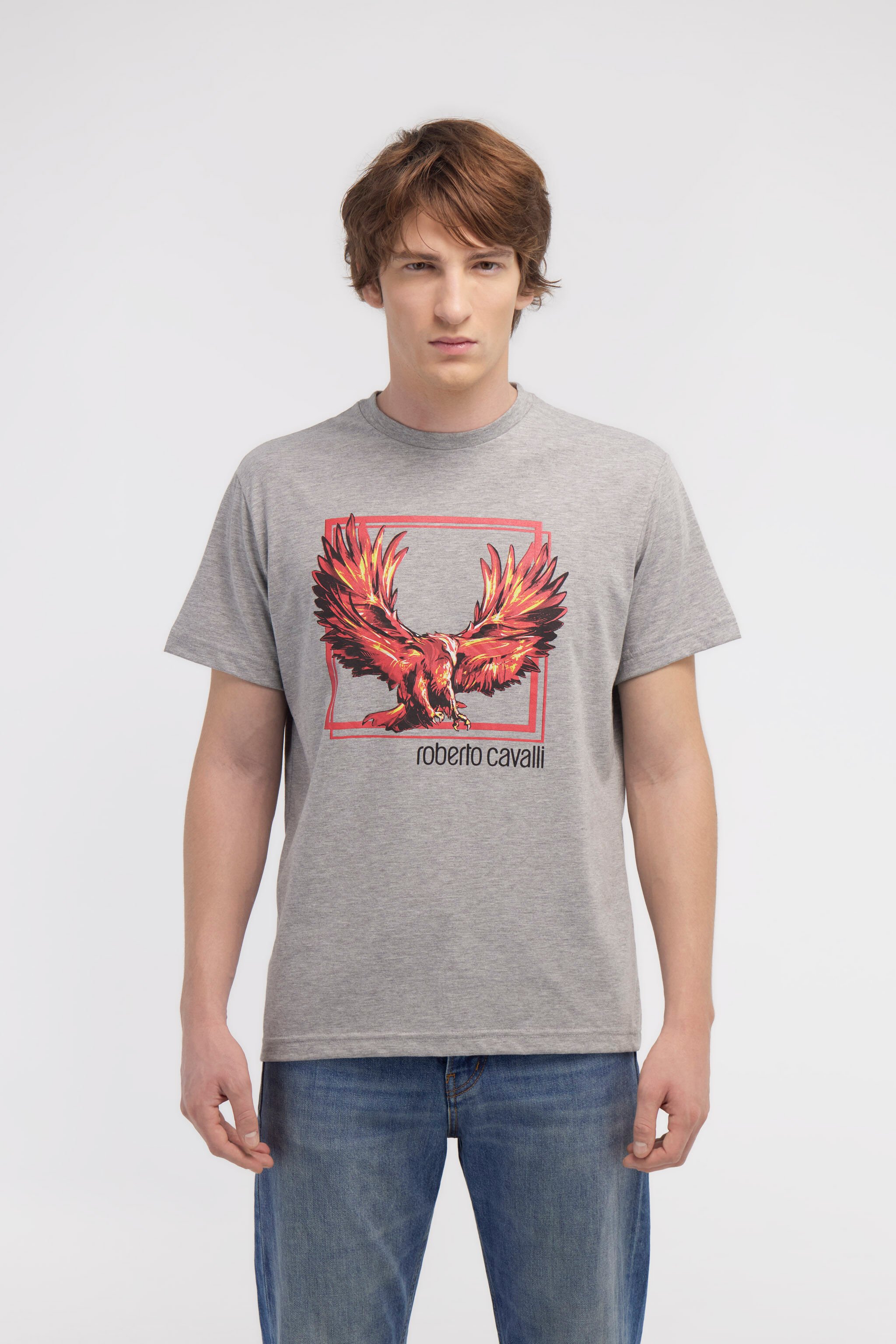 RC T-shirt with Eagle logo and print Gray NOT60E-JD016