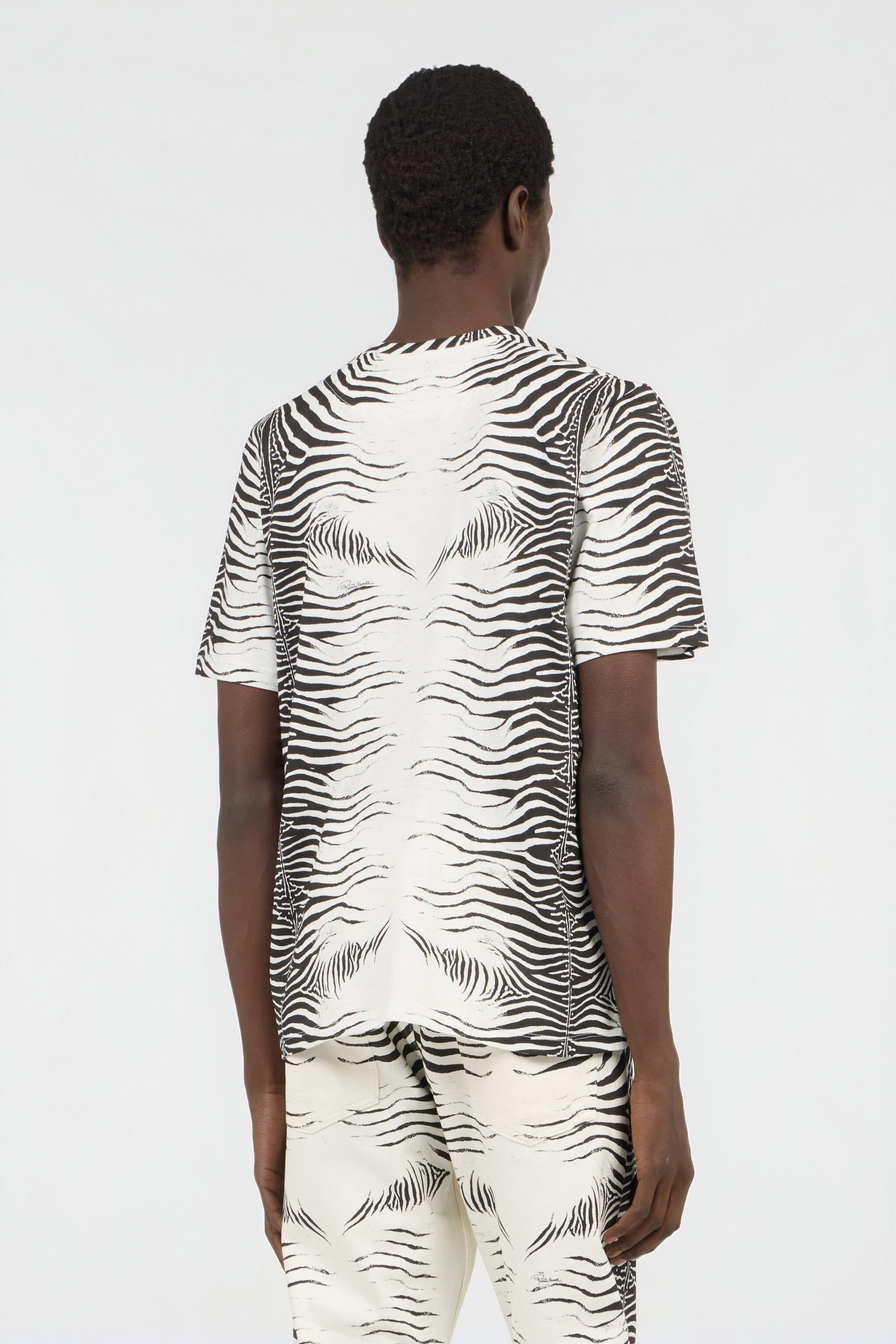 RC Zebra Print T-Shirt WHITE/BLACK ZEBRA SOT60L-JD020
