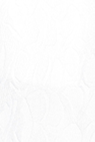 RC  SILVER WKA017-PZS14