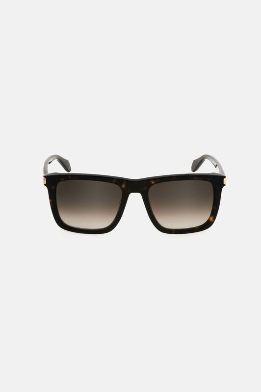 JC Occhiale da sole Just Cavalli Marrone scuro RALD15-ID018
