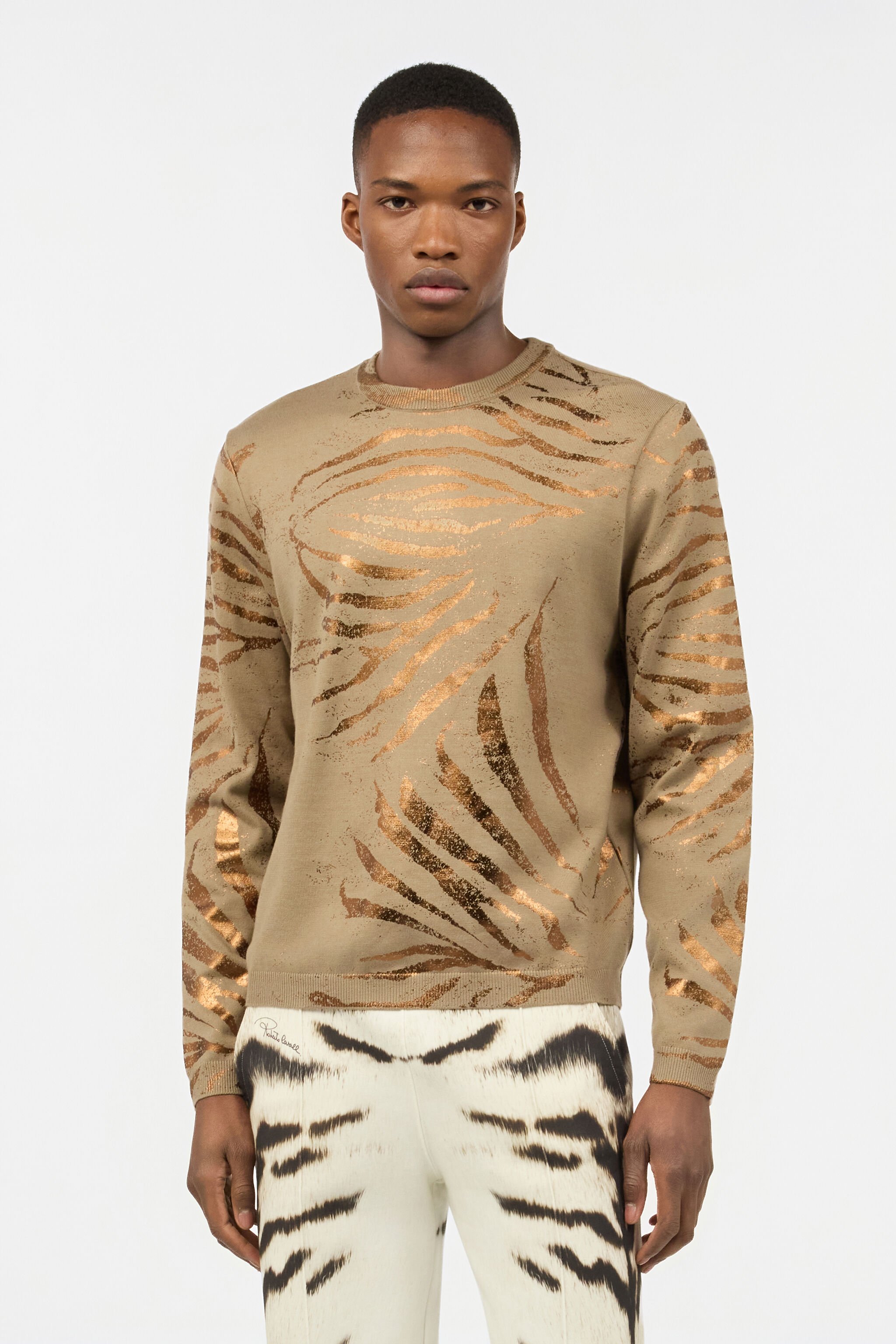 RC Maglia Con Motivo Tiger Skin Dorato Marrone chiaro URM609-MGC10