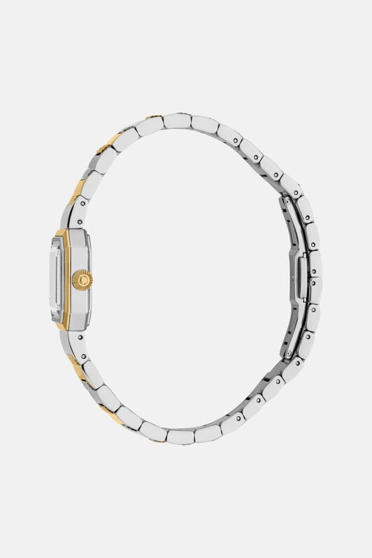 RC Roberto Cavalli by Franck Muller Herrenuhr SILVER & GOLD UALT16-IT567