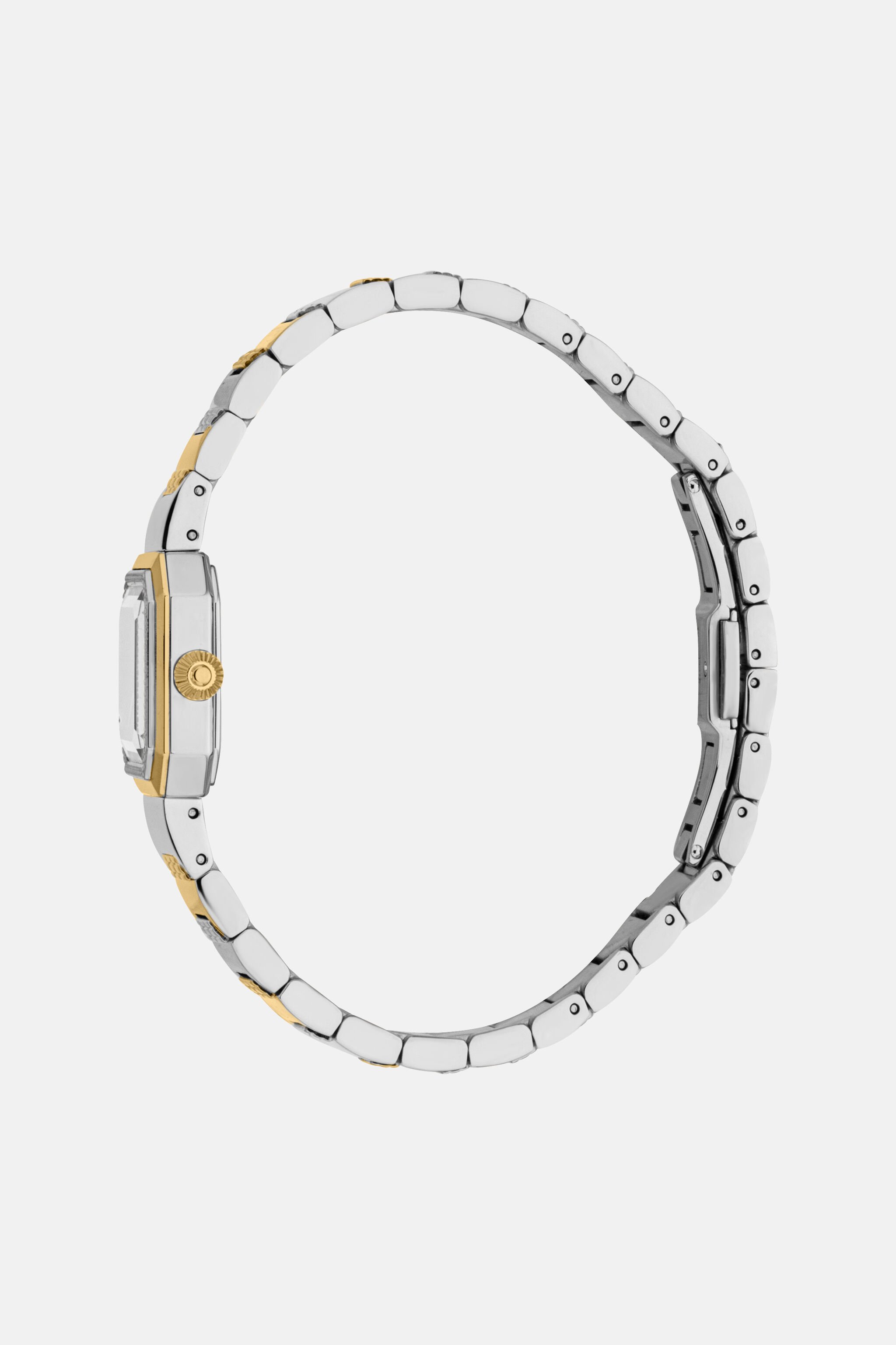 RC Roberto Cavalli by Franck Muller Herrenuhr SILVER & GOLD UALT16-IT567