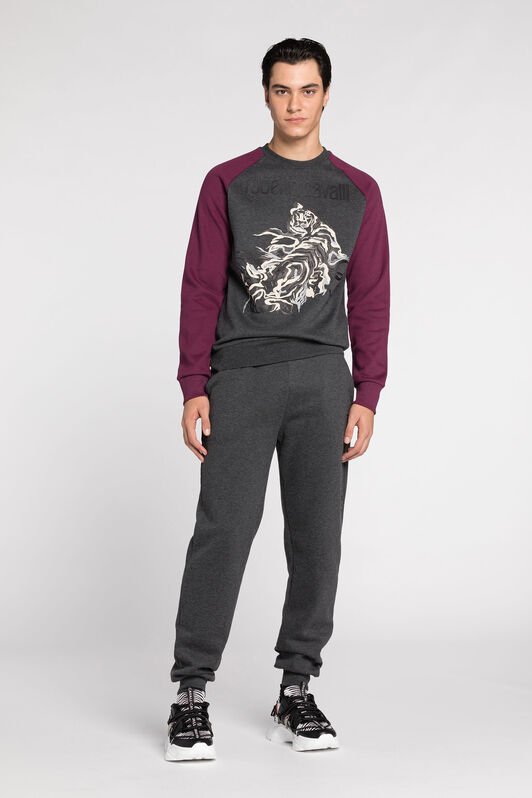 RC Sweat à imprimé tigre Dark Grey JST65A-CF062