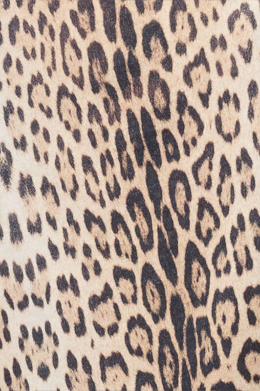RC Jaguar Print T-shirt JAGUAR POT60C-JFG34