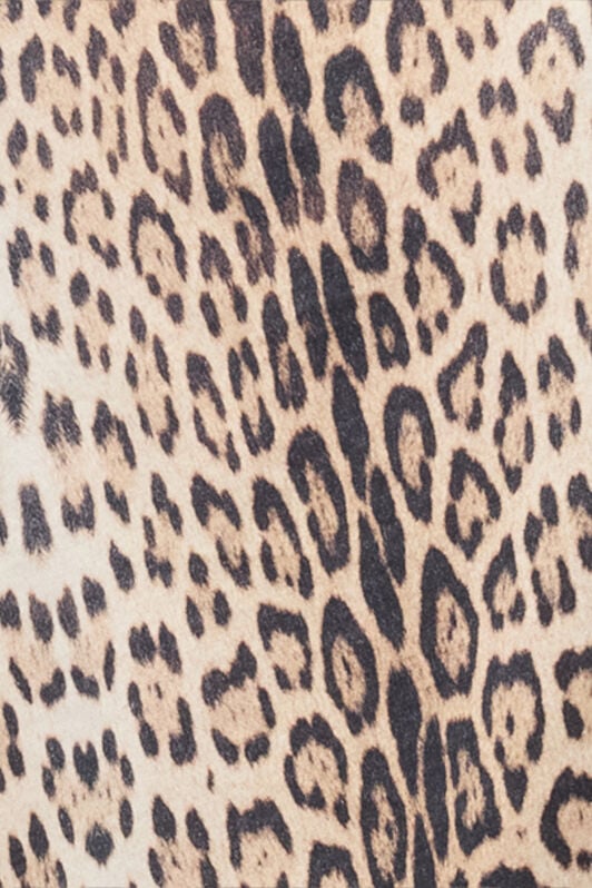 RC Jaguar Print T-shirt RC Jaguar Print T-shirt JAGUAR POT60C-JFG34