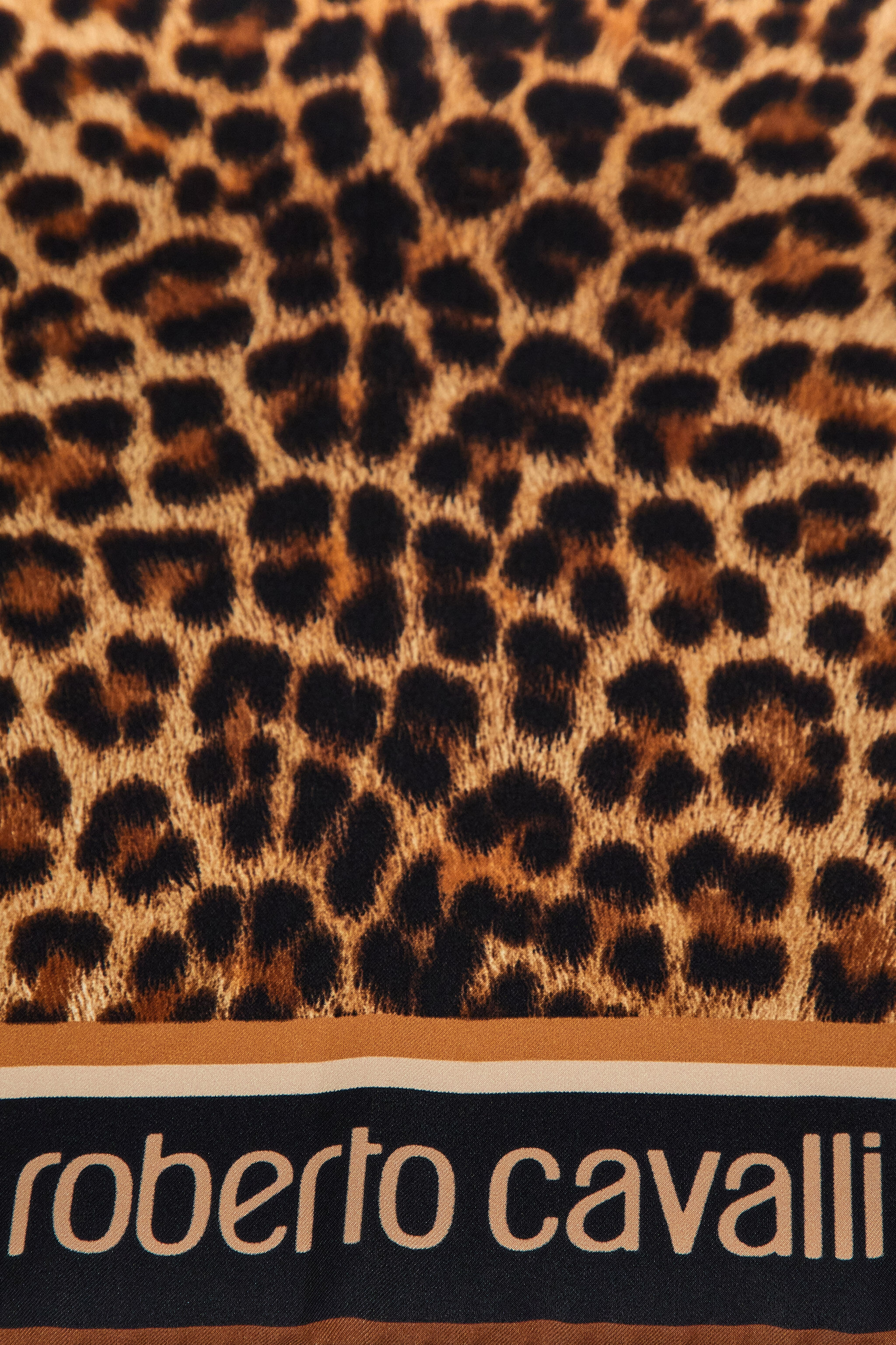 RC Roberto Cavalli foulard with Giaguaro Heritage print Marron clair SYI00A-2NL53