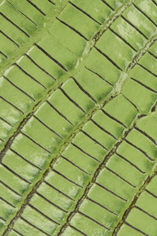 RC Décolleté in Pelle con Dettaglio Serpente RC Décolleté in Pelle con Dettaglio Serpente PISTACHIO WKS009-PZ119