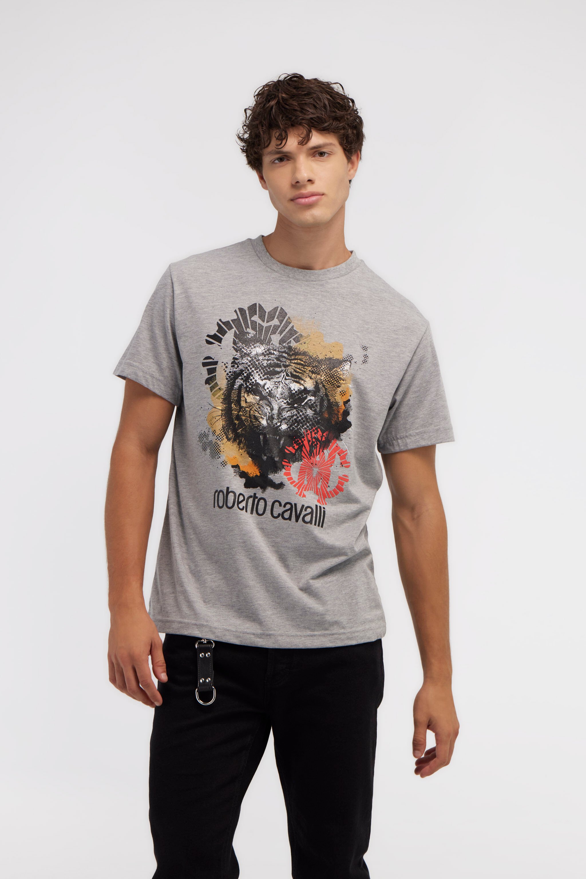 RC T-shirt with Jaguar logo and print Gray NOT60A-JD016