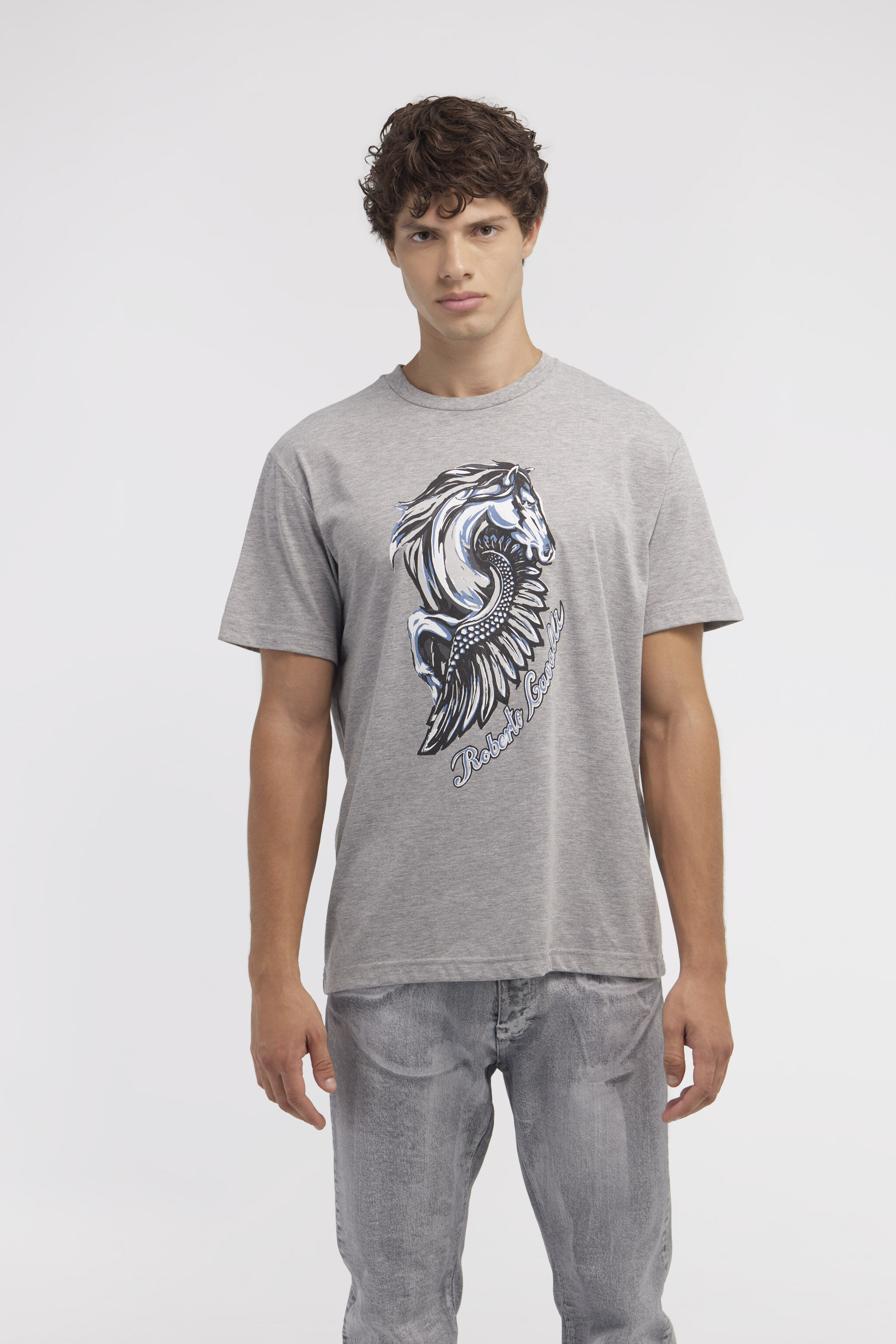 RC T-shirt with Horse logo and print Gray NOT60P-JD016