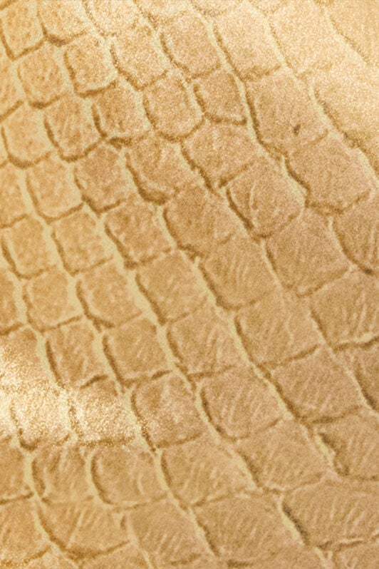 RC Abito Lungo Dorato In Seta Con Stampa Squame GOLD/GOLD WWT125-SNS31