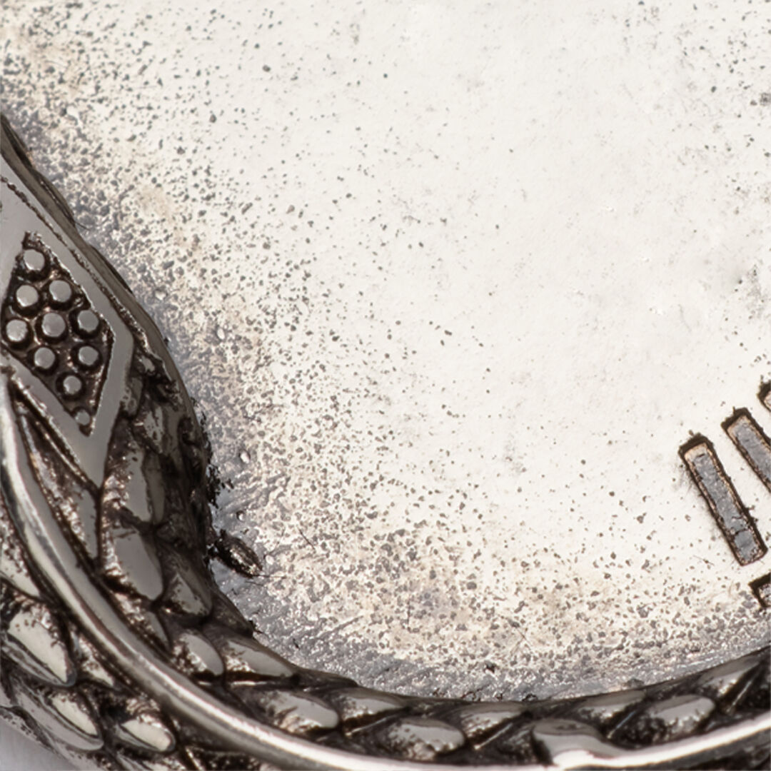 RC Collar Con Serpiente Y Logotipo Plata URG002-AM258