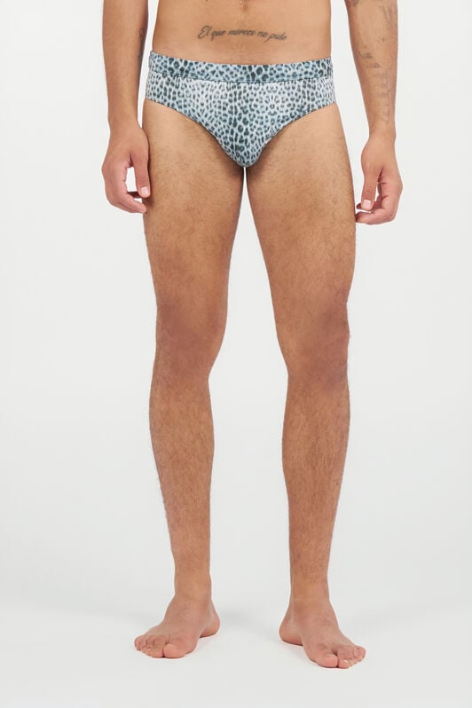 RC Swim Briefs with Baby Jaguar Print QUIET HARBOR WRH01G-LNR31