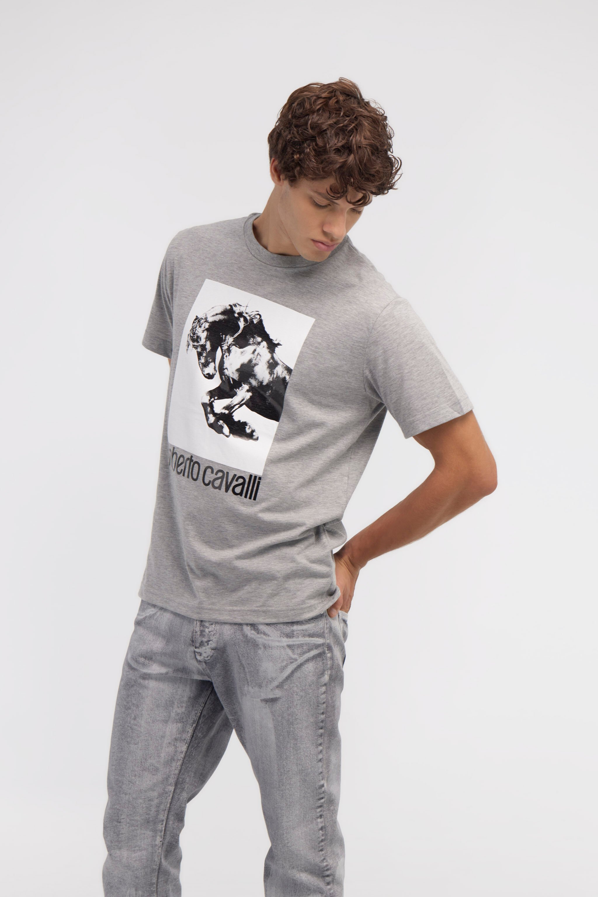 RC T-shirt con logo e stampa Cavallo Grigio NOT60D-JD016