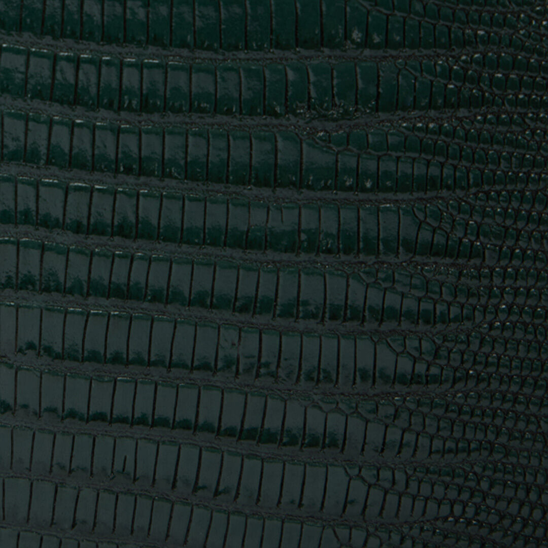 RC Green Bag with Snakes Dark green VWB001-PZ119
