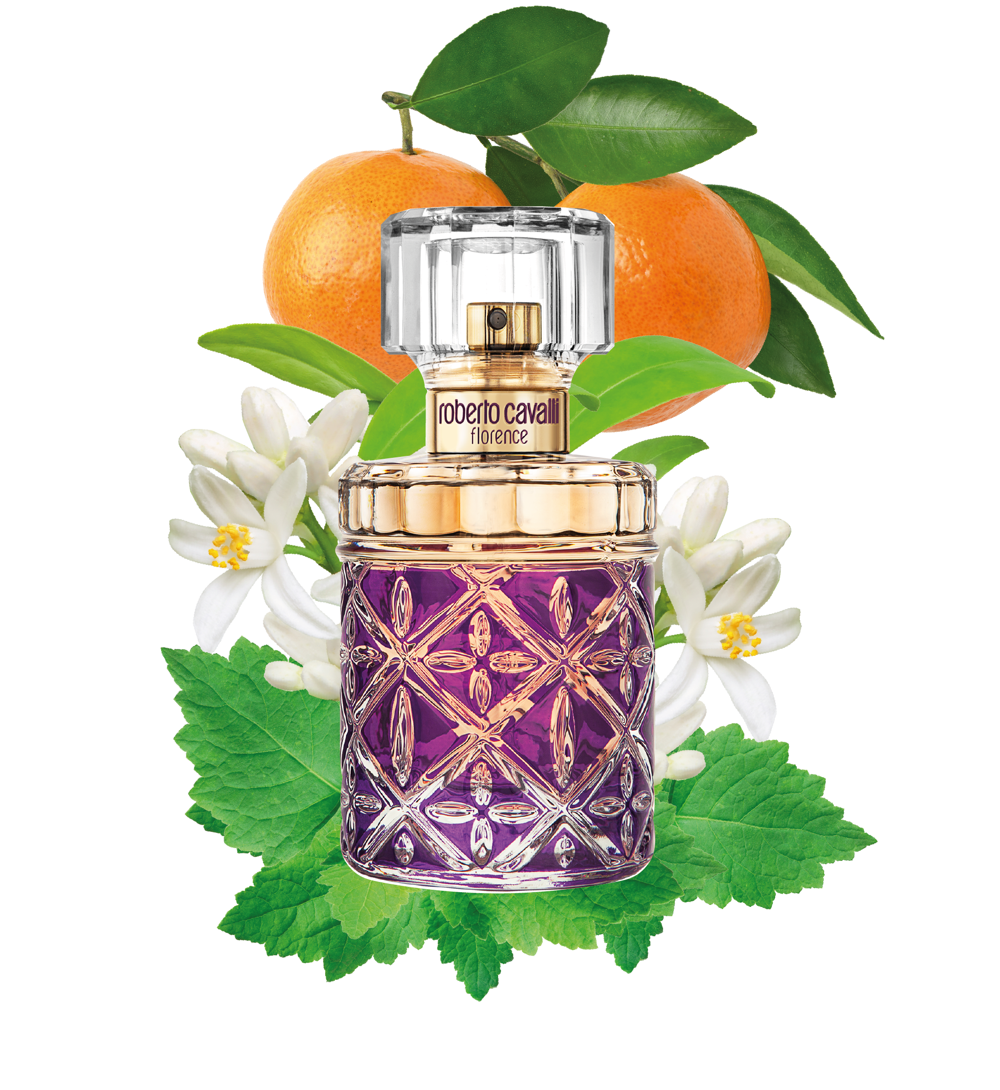 RC ROBERTO CAVALLI FLORENCE EAU DE PARFUM 75 ML Purple SAW014-SA021