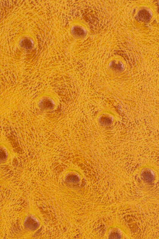 RC Small Wallet in Ostrich-Effect RC Small Wallet in Ostrich-Effect Yellow VKA006-PZ702