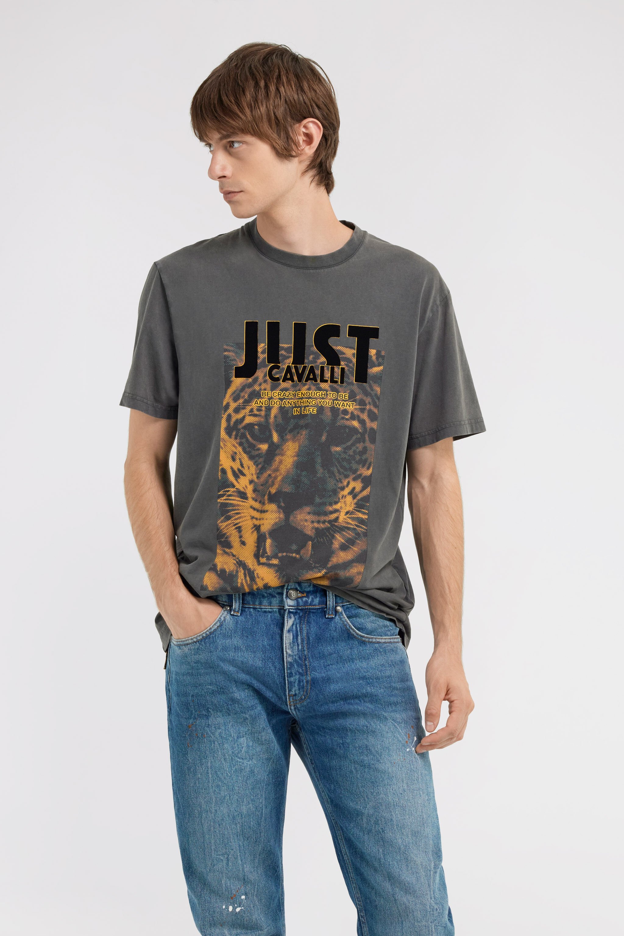 JC Just Cavalli T-shirt Gris foncé TFT025-TF042