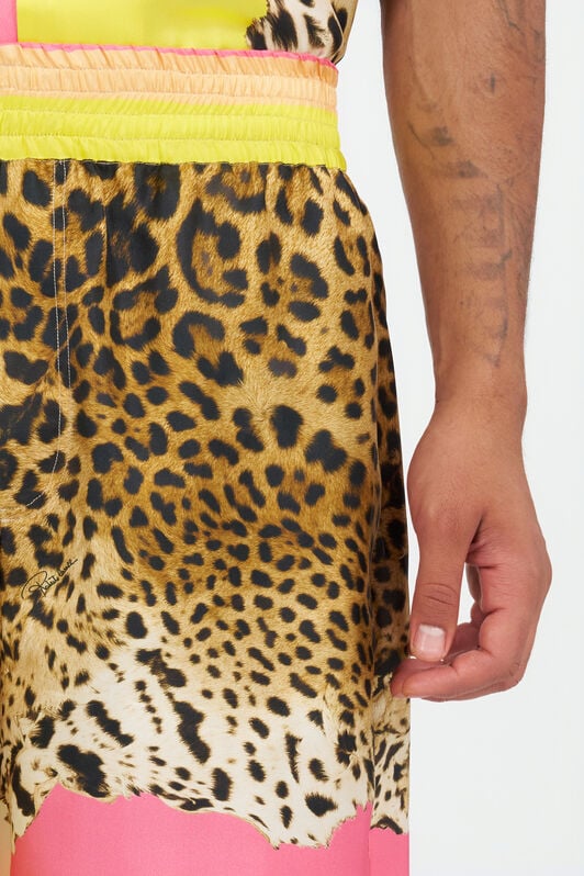 RC Cavalli Pop Print Silk Bermuda Shorts RC Cavalli Pop Print Silk Bermuda Shorts MULTICOLOR WNT271-4QR33