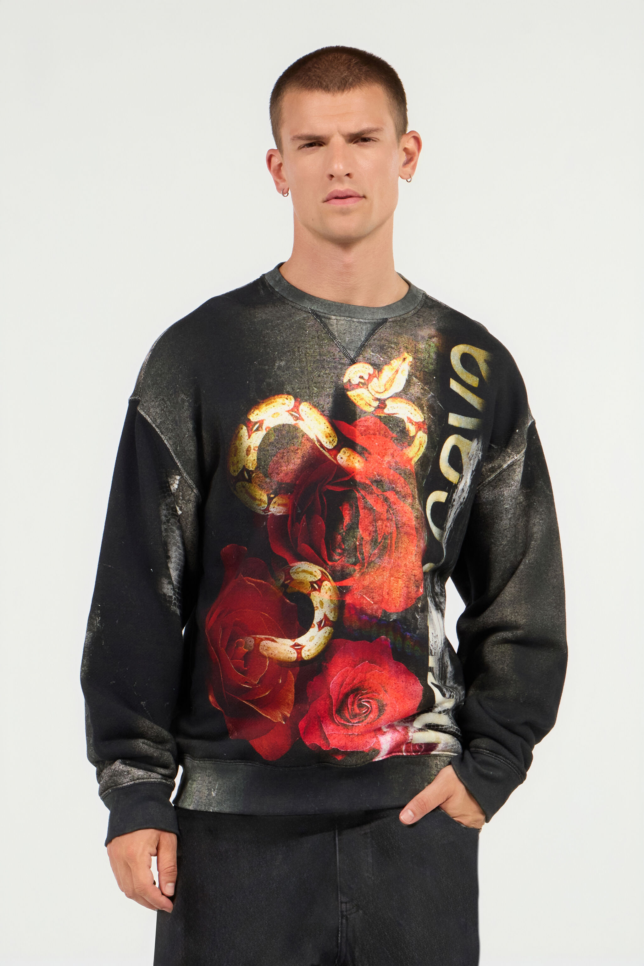 RC Roses And Snake Print Sweatshirt Red URT68C-5ON67