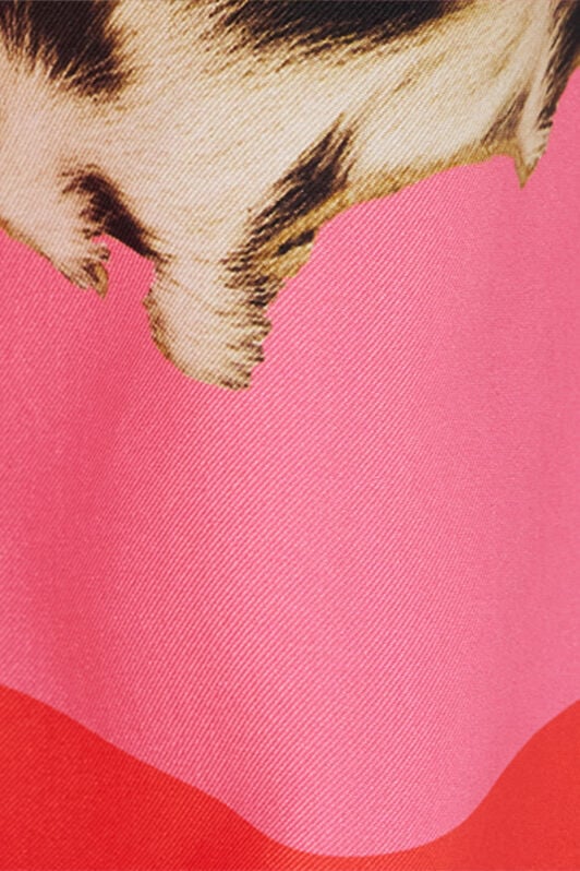 RC Palazzo Pants with Pop Horse Print CORAL RED WQT210-OZR33