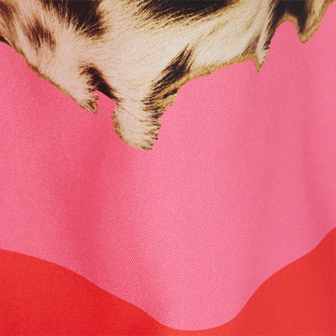 RC Palazzo Pants with Pop Horse Print CORAL RED WQT210-OZR33