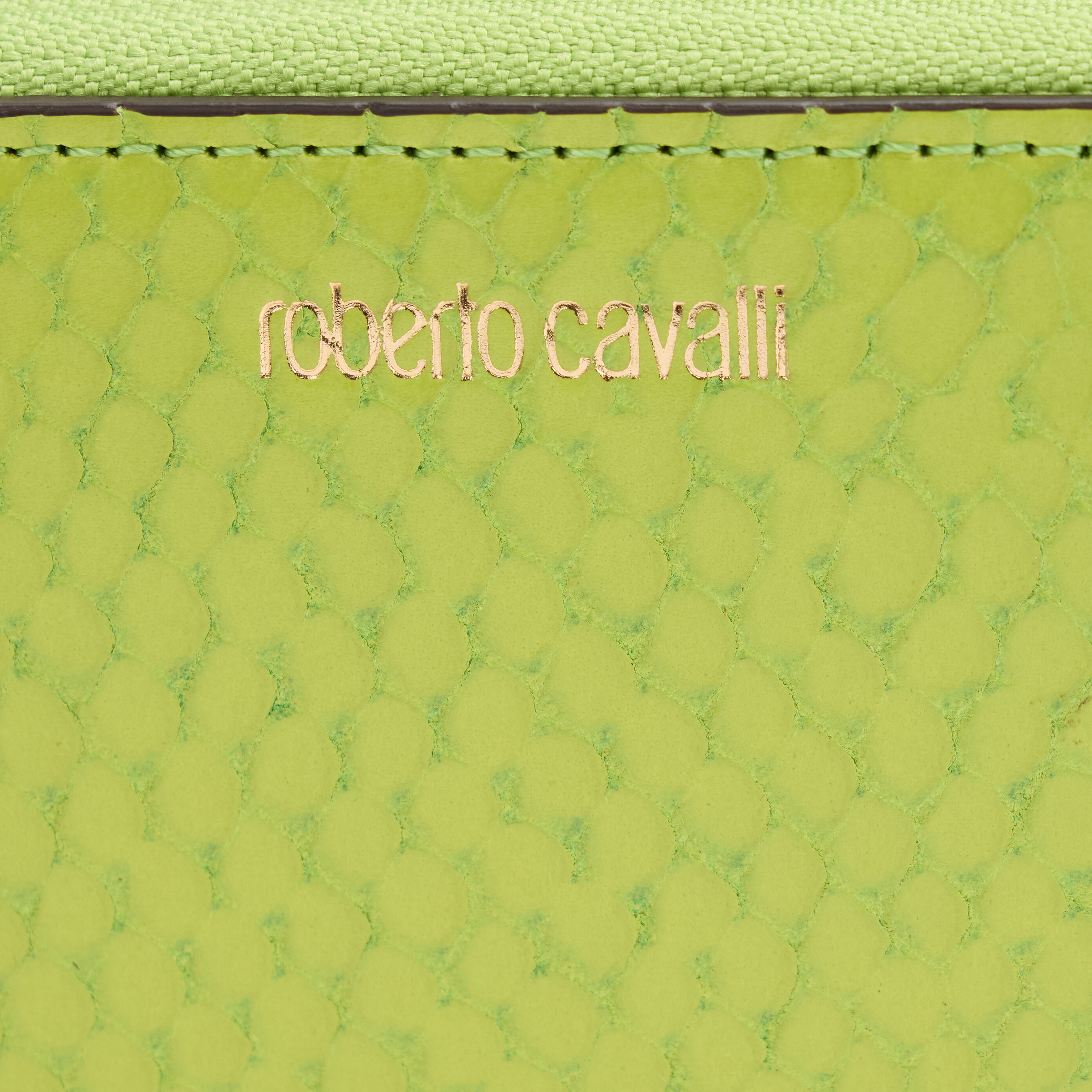 RC Cartera efecto serpiente con logotipo Verde claro TKA006-PZV98