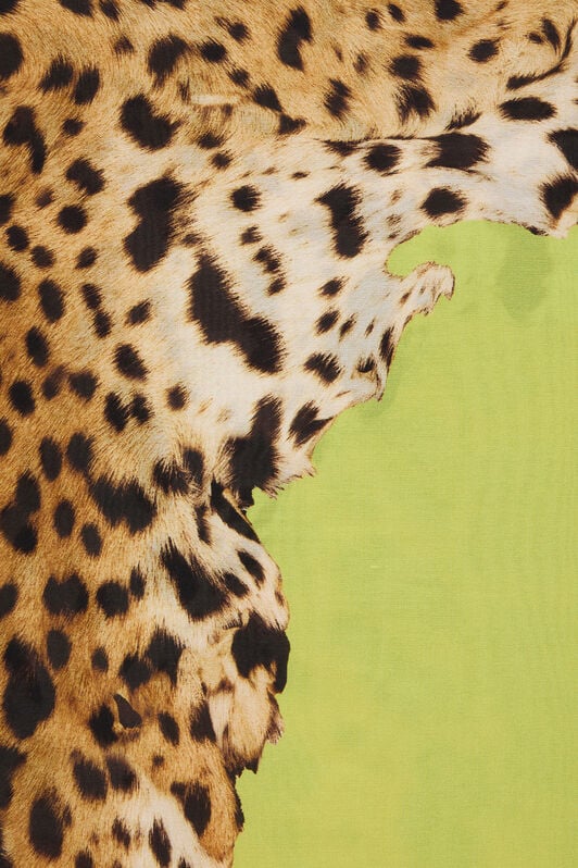 RC Cavalli Pop Print Silk Stole LIGHT GREEN WQI002-HZR33