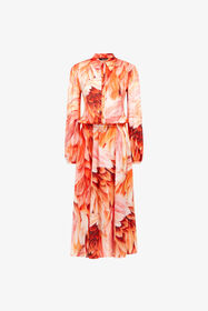 ${brand} Long dress Plumage print ${colorDescription} ${masterID}