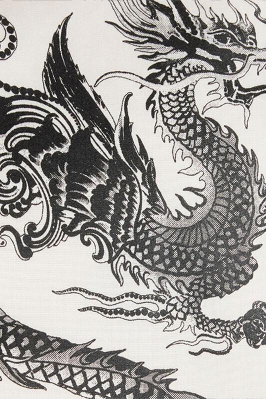 RC Cotton Shirt with Dragons Blanc VNT712-CH026