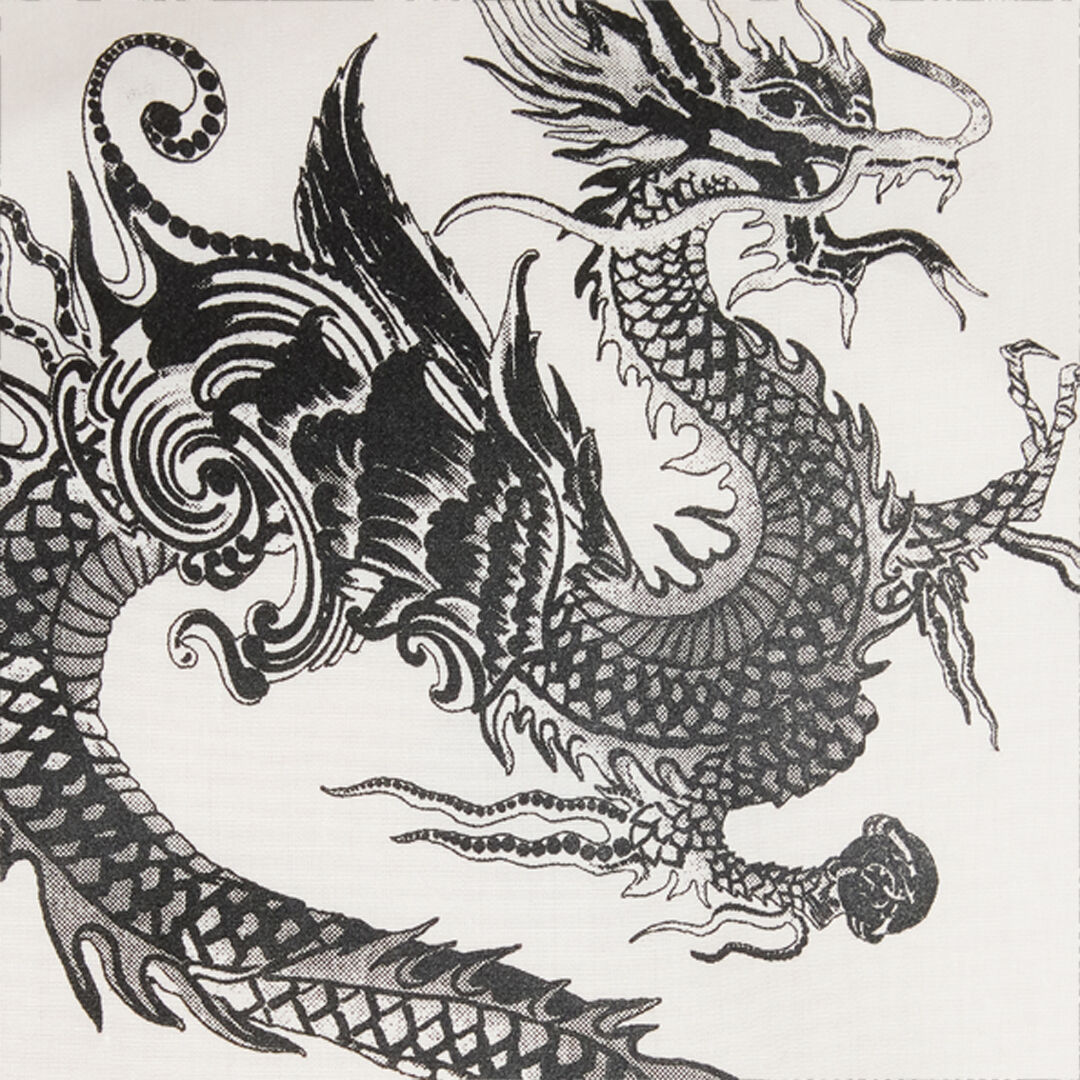 RC Cotton Shirt with Dragons Blanc VNT712-CH026