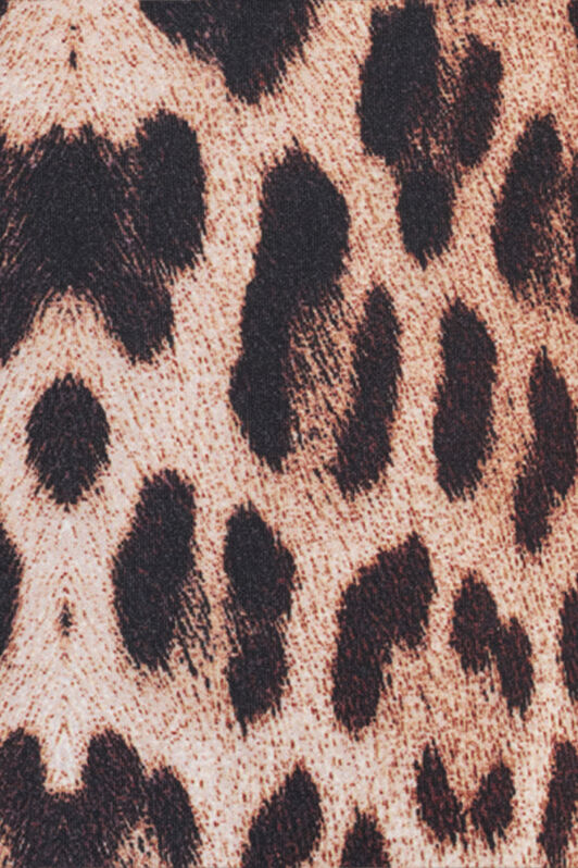 RC Leopard Print Sweatshirt JAGUAR QOT66A-2OG34