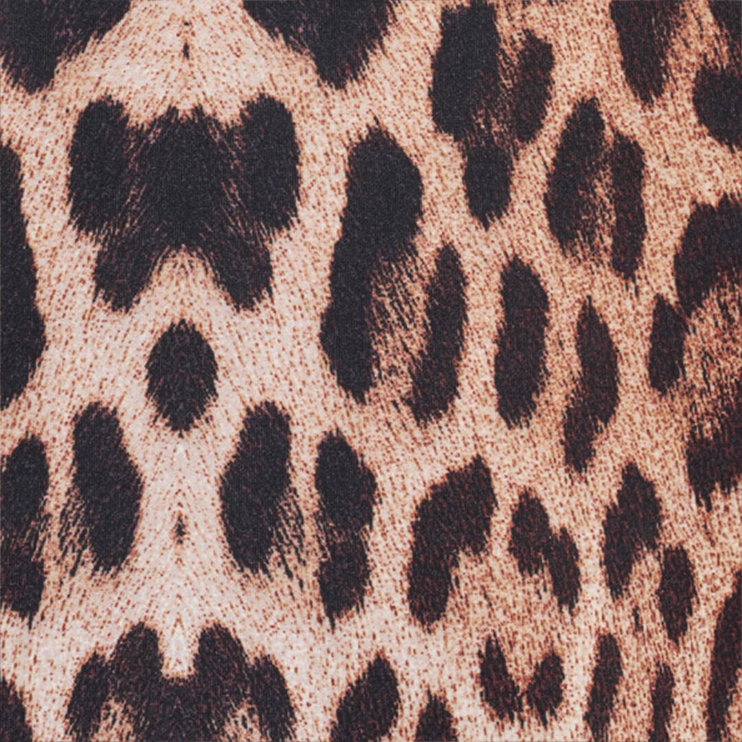 RC Leopard Print Sweatshirt JAGUAR QOT66A-2OG34