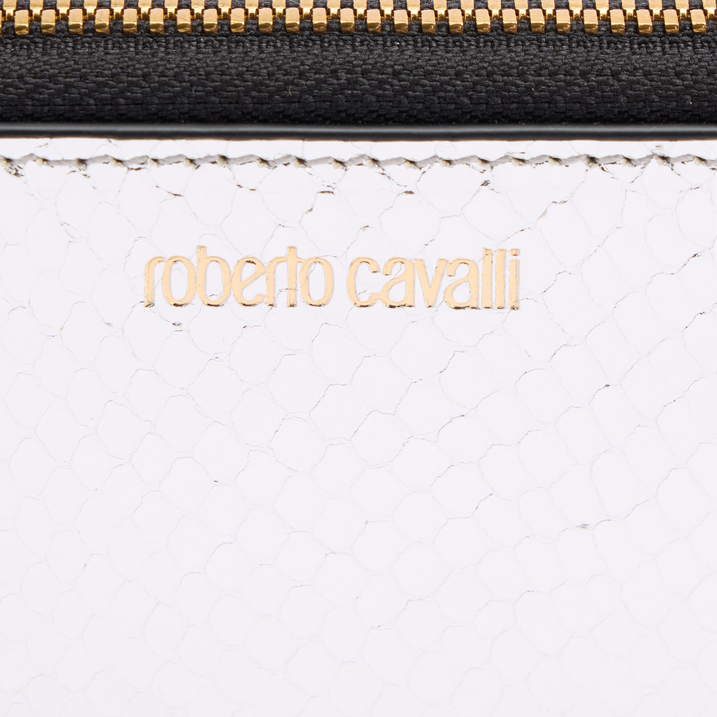 RC Zip-Around Wallet with Snake Print Plata TKA006-PZ579