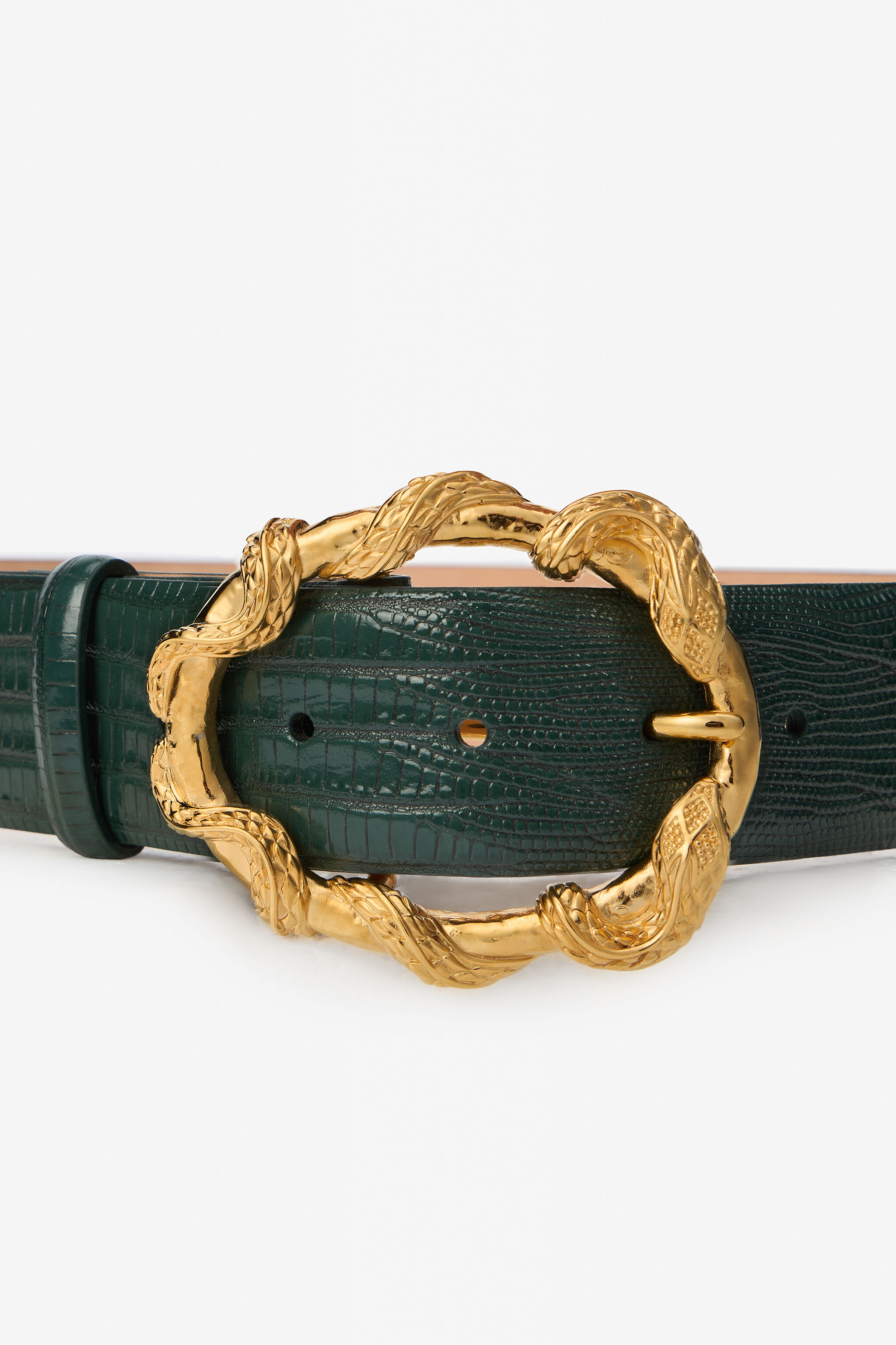 RC Green Belt with Cobra Print and Snake Buckle Vert foncé VWC001-PZ119