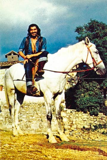 Roberto Cavalli - Horse