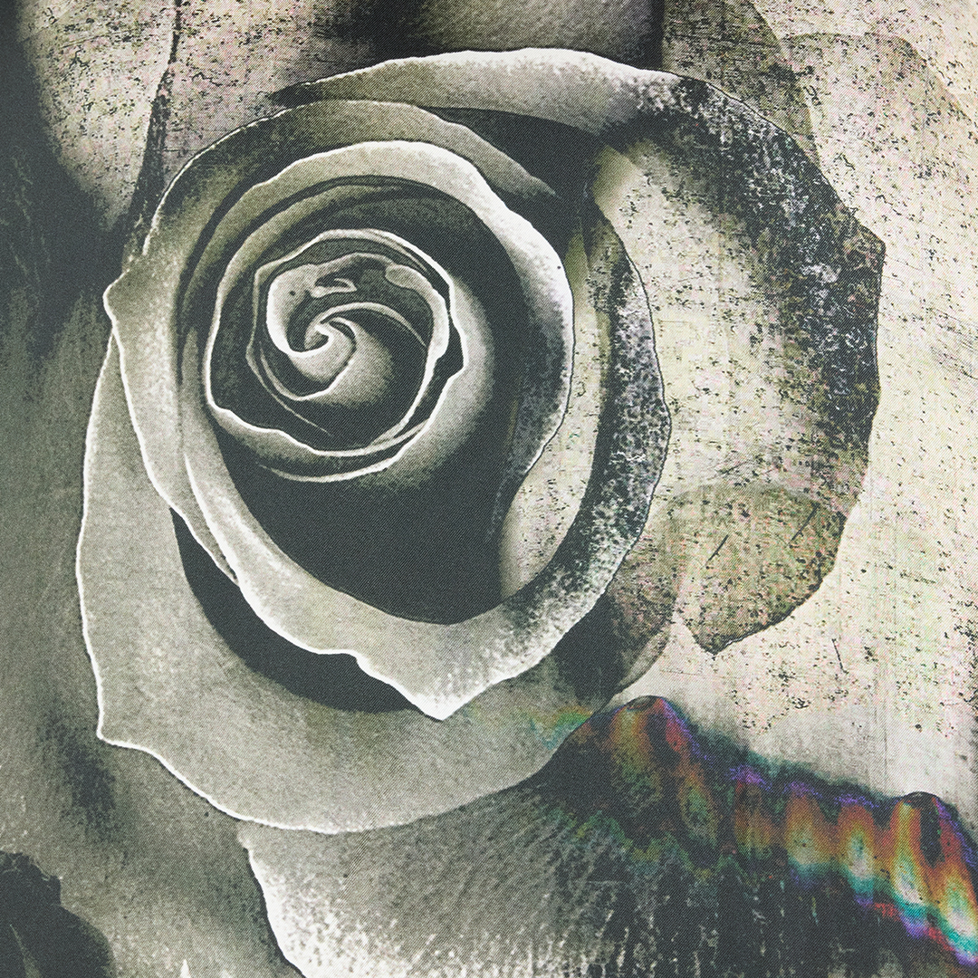 Roberto Cavalli Rose-print T-shirt In Black/white