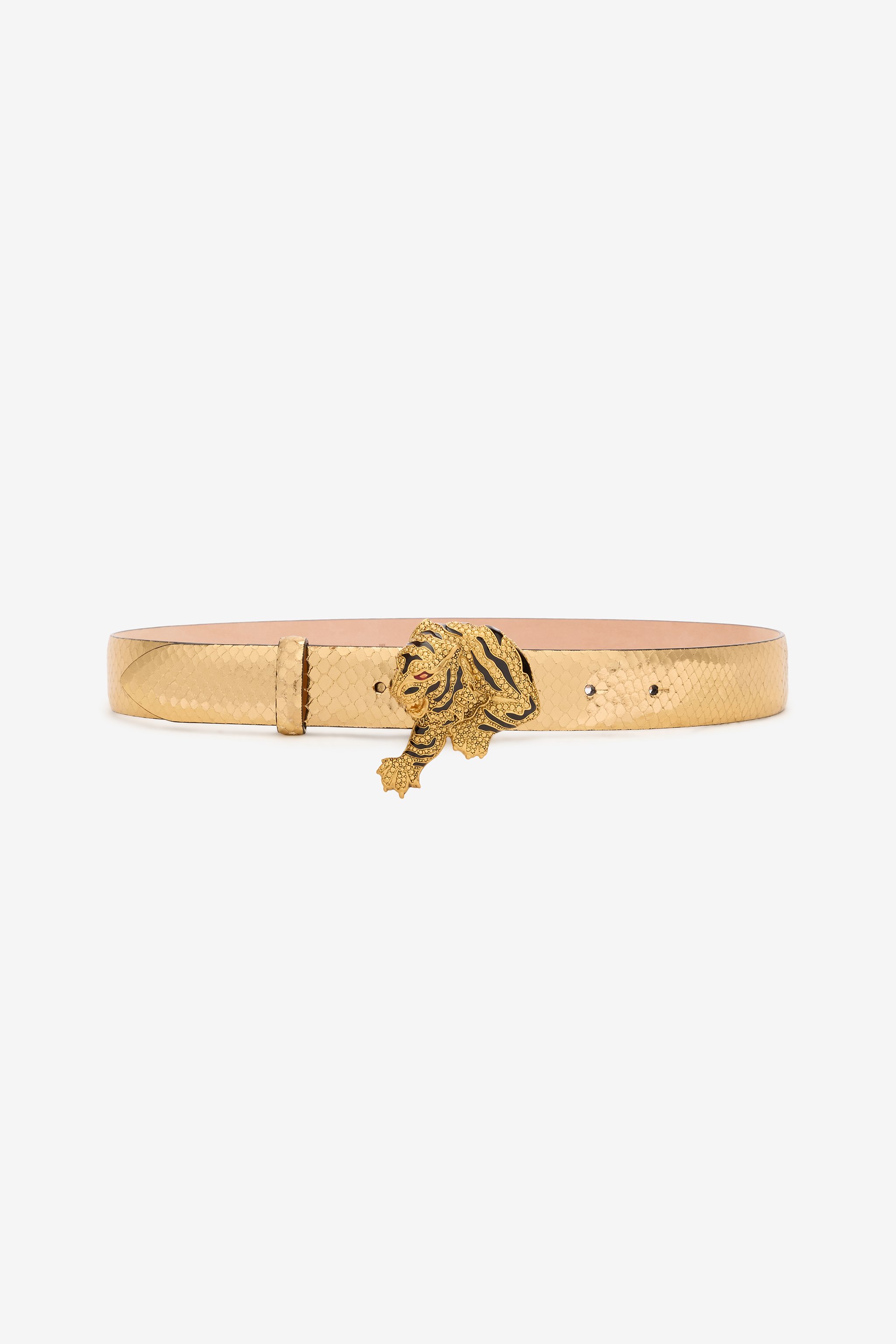 Roberto Cavalli Belt With Snake Print And Jewel Tiger Detail In Gold