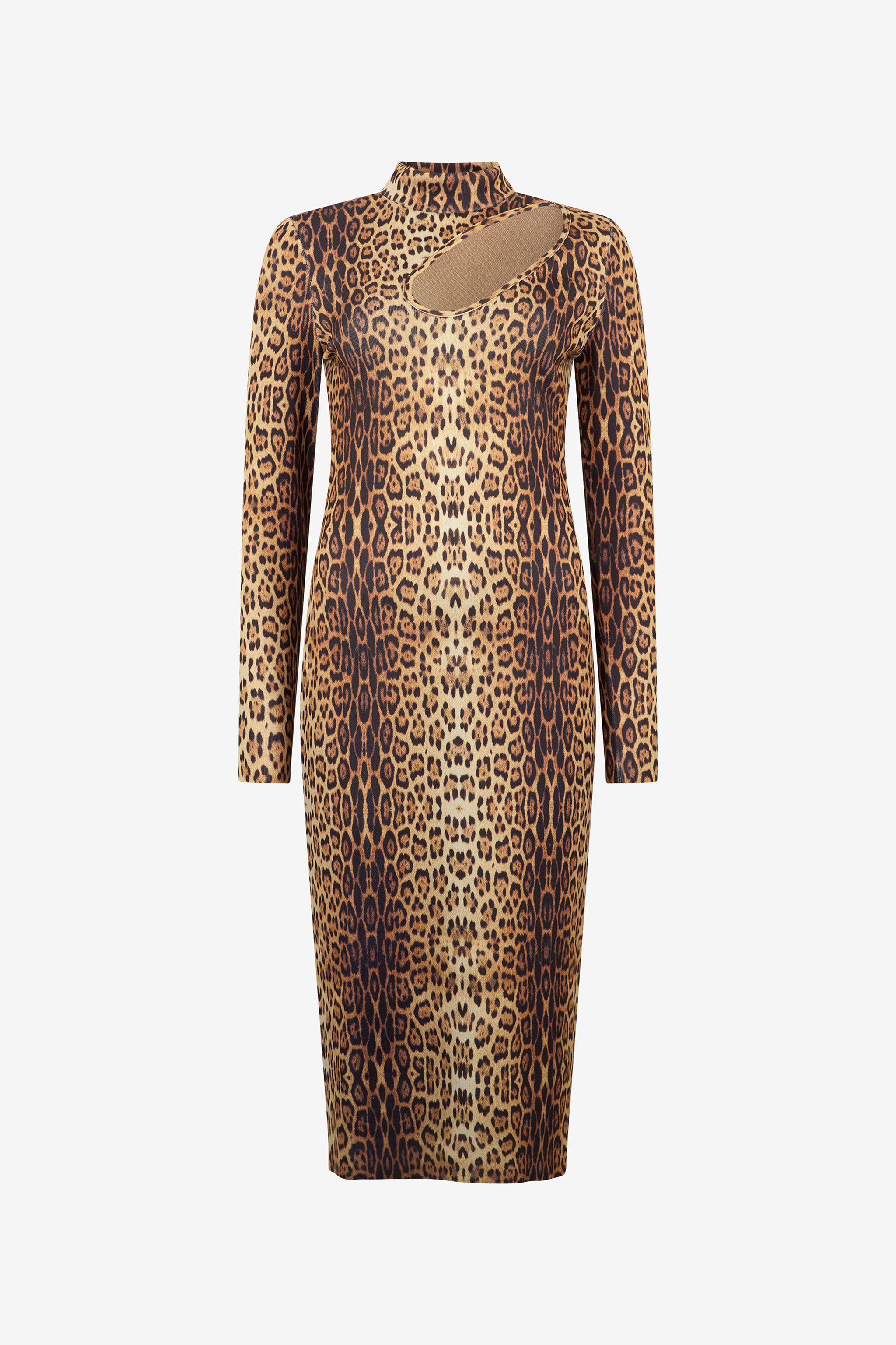 Roberto Cavalli Leopard Print Midi Dress In Animal Print
