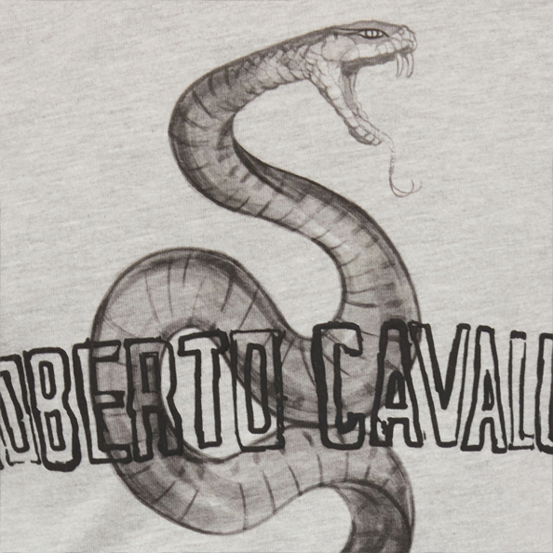 Grey Mélange T-Shirt with Snake and Logo
